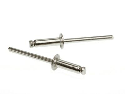 304 Stainless Steel Dome Head Rivet ST-ST