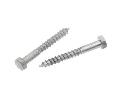Coach Screws Hex Head Galvanised