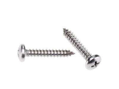 Pan Hd 304 Stainless Self Tapping Screws