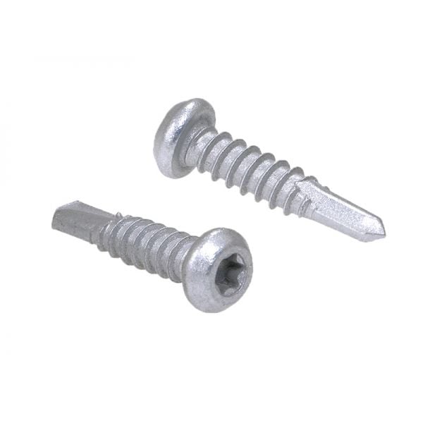 10g Torx Wafer Cladding SD Screws CL4