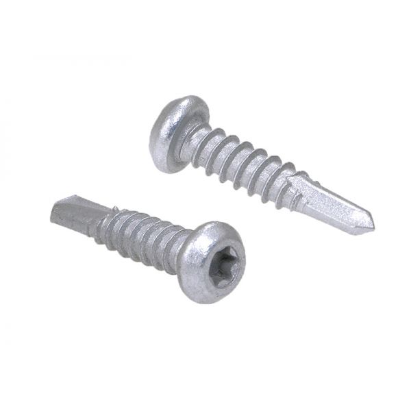 12g Torx Wafer Cladding SD Screws CL4