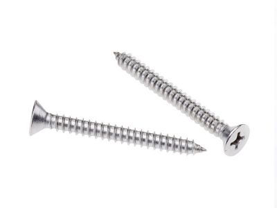 Csk Hd 304 Stainless Self Tapping Screw
