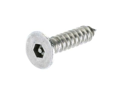 PROLOK Pin Hex Countersunk Self Tapping 304 Stainless Steel