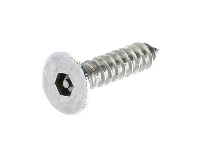 PROLOK Pin Hex Countersunk Self Tapper 304 Stainless Steel